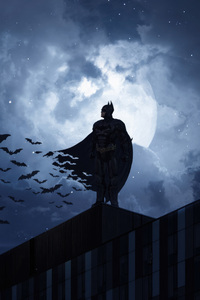 Batman With Bats (1440x2960) Resolution Wallpaper