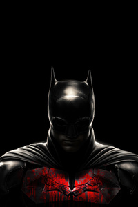Batman With Great Power (360x640) Resolution Wallpaper