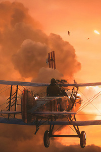 Battlefield 1 Battle Flight 4k (1080x2280) Resolution Wallpaper
