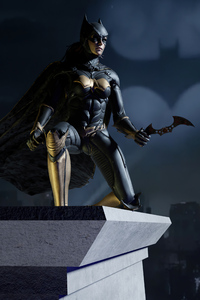 Batwoman With Batarang 4k (1080x2160) Resolution Wallpaper