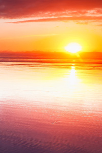 1080x2280 Beach Reflection Sunset 4k