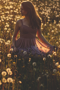 Beautiful Girl In Field Evening (320x480) Resolution Wallpaper