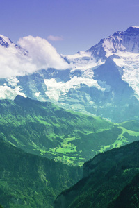 Beautiful Green Landscape (1242x2668) Resolution Wallpaper