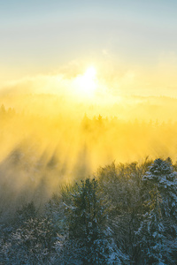 Beautiful Morning Sunrise 4k (240x320) Resolution Wallpaper