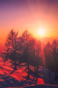 Beautiful Red Tone Sunrise Snow Trees
