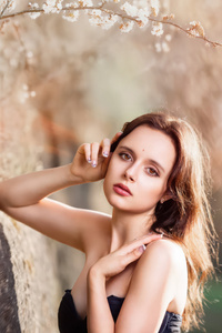 Beautiful Woman Under Blossom Tree (640x1136) Resolution Wallpaper