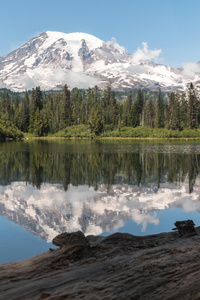 Bench Lake Mt Rainier (640x1136) Resolution Wallpaper