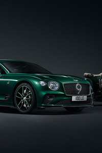Bentley Continental GT Number 9 Edition 2019 (480x854) Resolution Wallpaper
