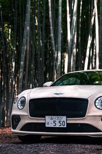 Bentley Continental GT V8 Front 8k (1080x2160) Resolution Wallpaper