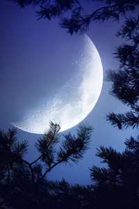 Big Moon Dark Night (540x960) Resolution Wallpaper