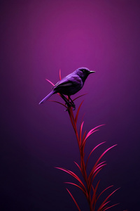 Bird Moments Of Quiet Reflection (720x1280) Resolution Wallpaper