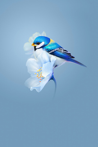 Bird Sitting On Flower (1125x2436) Resolution Wallpaper