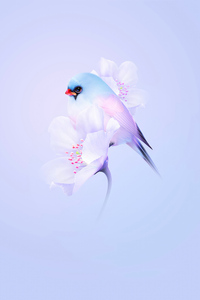 Birds Minimal (1125x2436) Resolution Wallpaper
