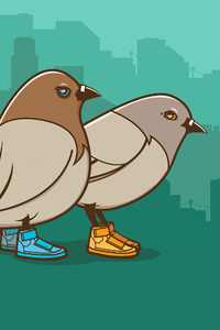 Birds Wearing Shoes Minimalist 4k