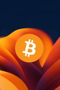 Bitcoin Beyond Limits (1440x2560) Resolution Wallpaper