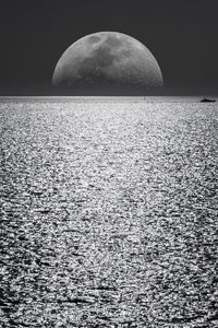 Black And White Moon Ocean During Night Time