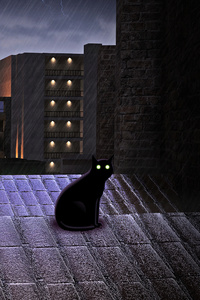Black Cat On Rooftop Lightning 4k