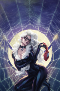 Black Cat Shadows Of Chaos (1440x2560) Resolution Wallpaper