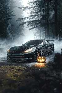 Black Corvette Of The Night (1080x2280) Resolution Wallpaper