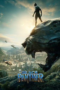 Black Panther 2018 (1080x2160) Resolution Wallpaper