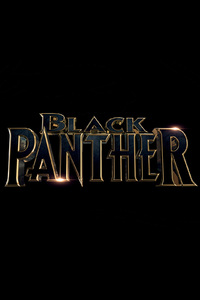 Black Panther 2018 Movie