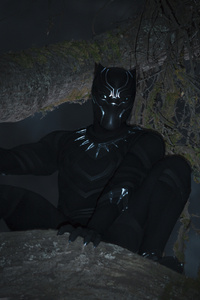 Black Panther 2018 T Challa (320x568) Resolution Wallpaper