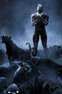 Black Panther 4k Rise Up (1080x1920) Resolution Wallpaper