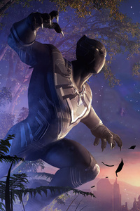 Black Panther And Erik Killmonger Marvel Contest Of Champions