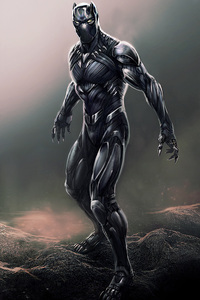 1080x2160 Black Panther Digital Artwork