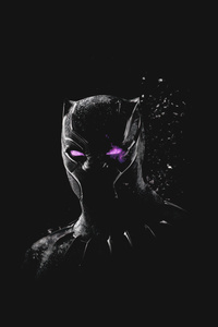 Black Panther Guardian Of Wakanda (320x568) Resolution Wallpaper