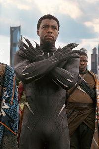 Black Panther In Avengers Infinity War 2018