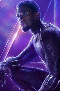 Black Panther In Avengers Infinity War New Poster