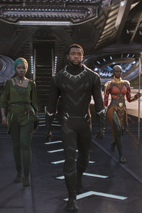 Black Panther Movie 2018 (480x854) Resolution Wallpaper