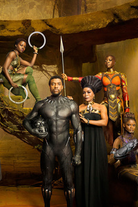 Black Panther Movie Cast (640x960) Resolution Wallpaper