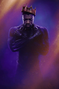 Black Panther Rest In Power 4k (1080x2280) Resolution Wallpaper