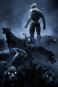 Black Panther Rise Up 4k (1080x2160) Resolution Wallpaper