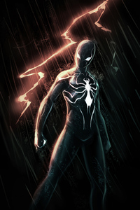 Black Spiderman Suit