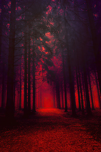 Blood Forest (640x1136) Resolution Wallpaper