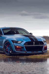 Blue Ford Shelby Gt500 4k (320x568) Resolution Wallpaper