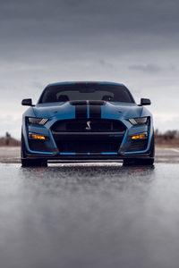 Blue Ford Shelby Gt500 (750x1334) Resolution Wallpaper