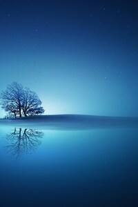 Blue Reflections