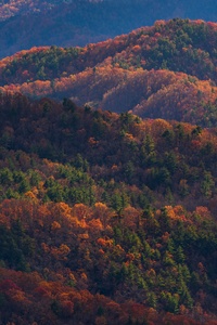 Blue Ridge Mountains In North Carolina 8k