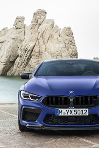 BMW M8 Competition Coupe 2019