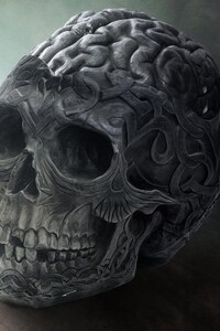 1440x2960 Brain Skull