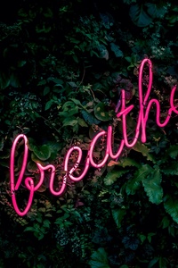 Breathe Nature Pink (1440x2560) Resolution Wallpaper