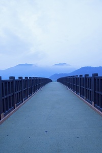 Bridge Landscape (1080x2160) Resolution Wallpaper