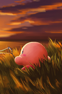 Bubbles Of Light Kirby Evening Scene (1440x2560) Resolution Wallpaper