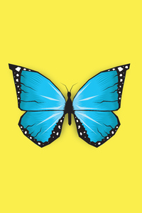 640x960 Butterfly Insect Minimal 5k