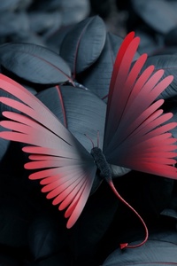 Butterfly Leaves Artwork (1440x2960) Resolution Wallpaper
