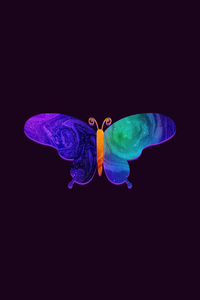 Butterfly Minimal Dark 5k (1080x2160) Resolution Wallpaper